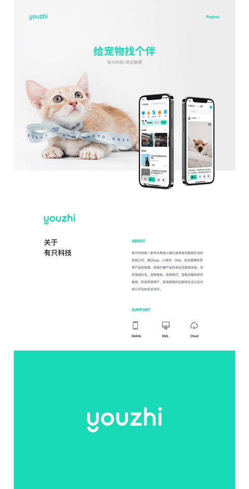 科技寵愛 陜西網絡技術服務的數字化創新實踐